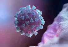 "BA.2.86" : Tout ce qu'il faut savoir sur le nouveau variant du Covid-19, surveillé par les autorités sanitaires mondiales