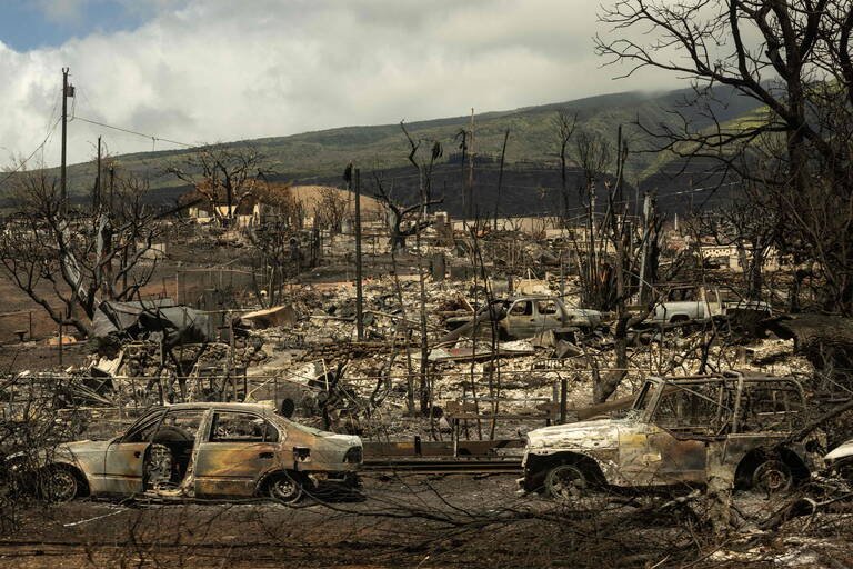 Des carcasses de voitures parmi les cendres d'un quartier incendié à Lahaina, à l'ouest de Maui, à Hawaii, le 14 août 2023