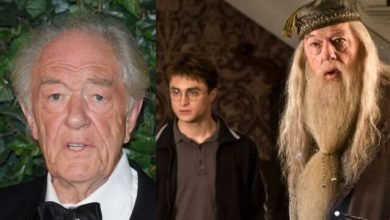 Dumbledore, Harry Potter, Michael Gambon