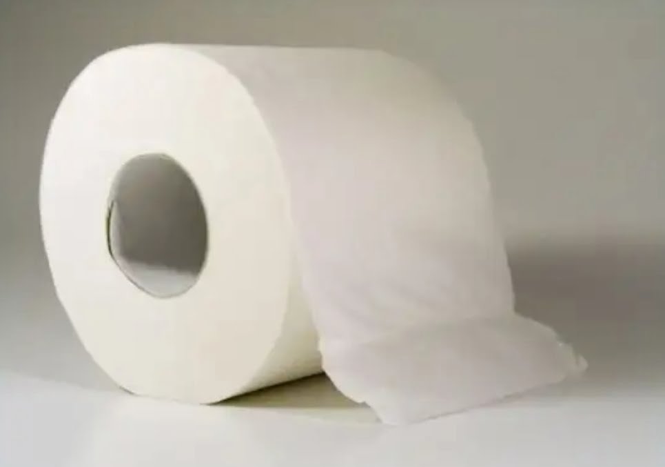 Les dangers du papier toilette voici de graves problèmes que cela peut causer à votre zone