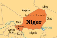 Carte du Niger