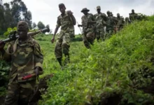 Guerre dans l'est de la RDC