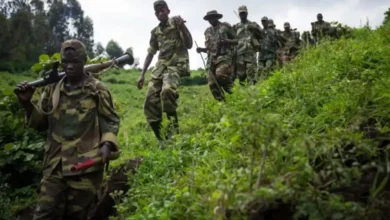 Guerre dans l'est de la RDC