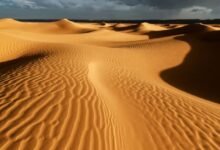 Pluie dans le désert de Sahara