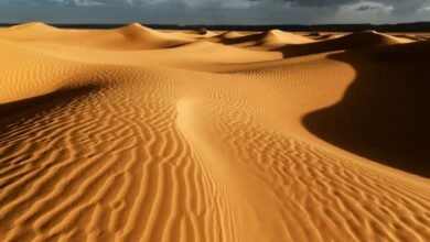 Pluie dans le désert de Sahara