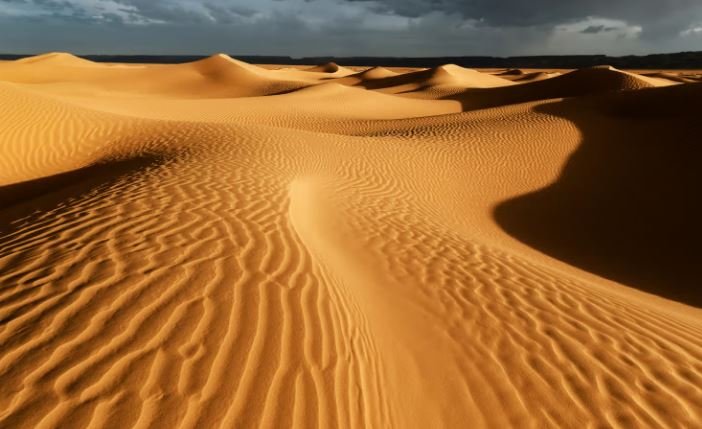 Pluie dans le désert de Sahara