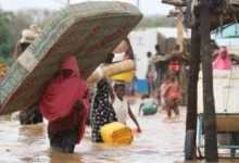 inondation au Niger