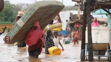 inondation au Niger