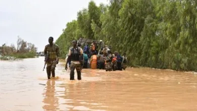 Inondations au Niger 339 morts