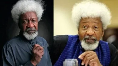 Wole Soyinka dieu