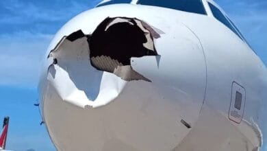 Brésil : Collision entre un Airbus A321 et un oiseau