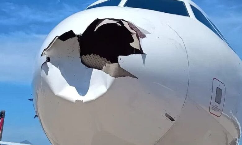 Brésil : Collision entre un Airbus A321 et un oiseau