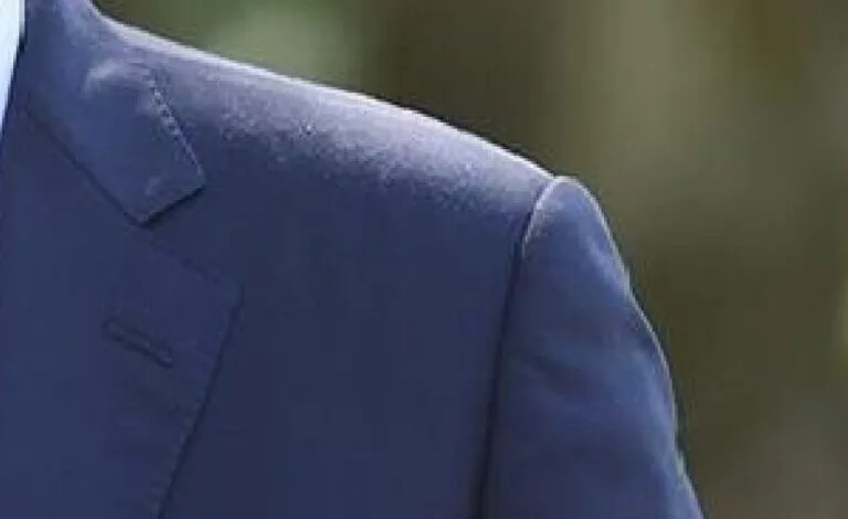 Aleksandar Vucic, le président serbe